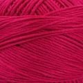 23 FUSCIA