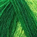 806 VERDE