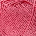 185 PALO DE ROSA