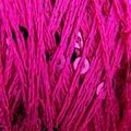 23 FUCSIA