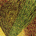 841 PIÑA C/ ORO