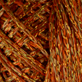 187 SHEDRON ORO
