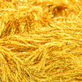 42 C/ ORO
