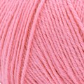 15 ROSA